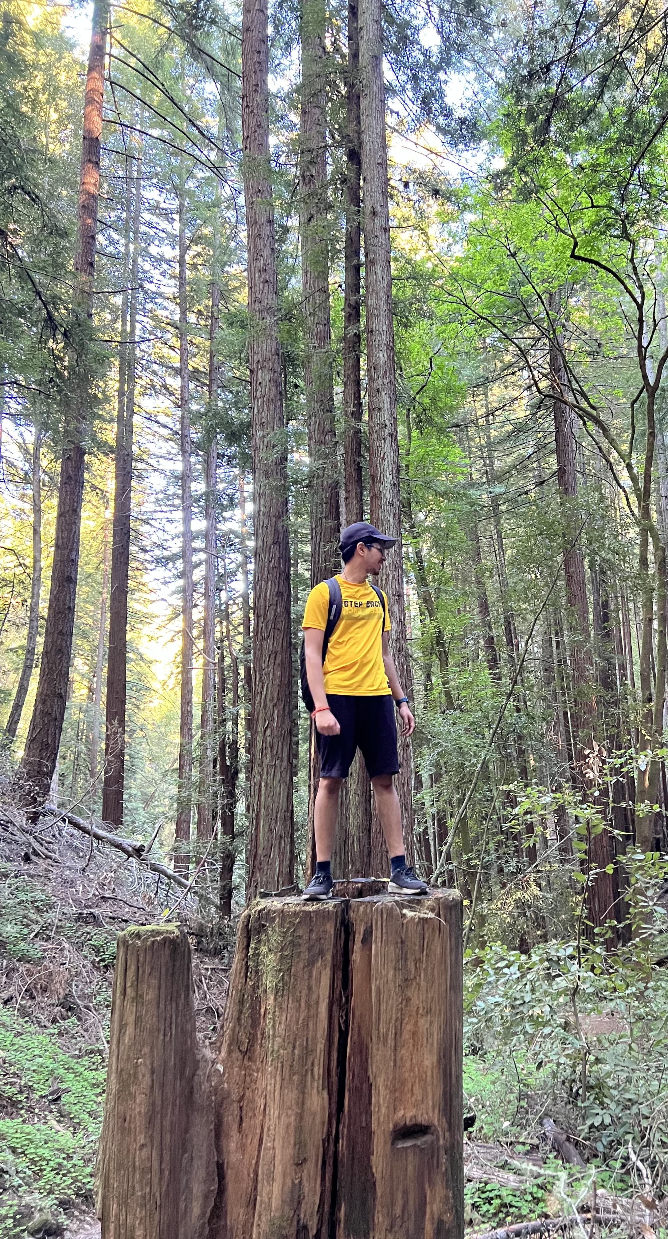 Personal interests and hobbies